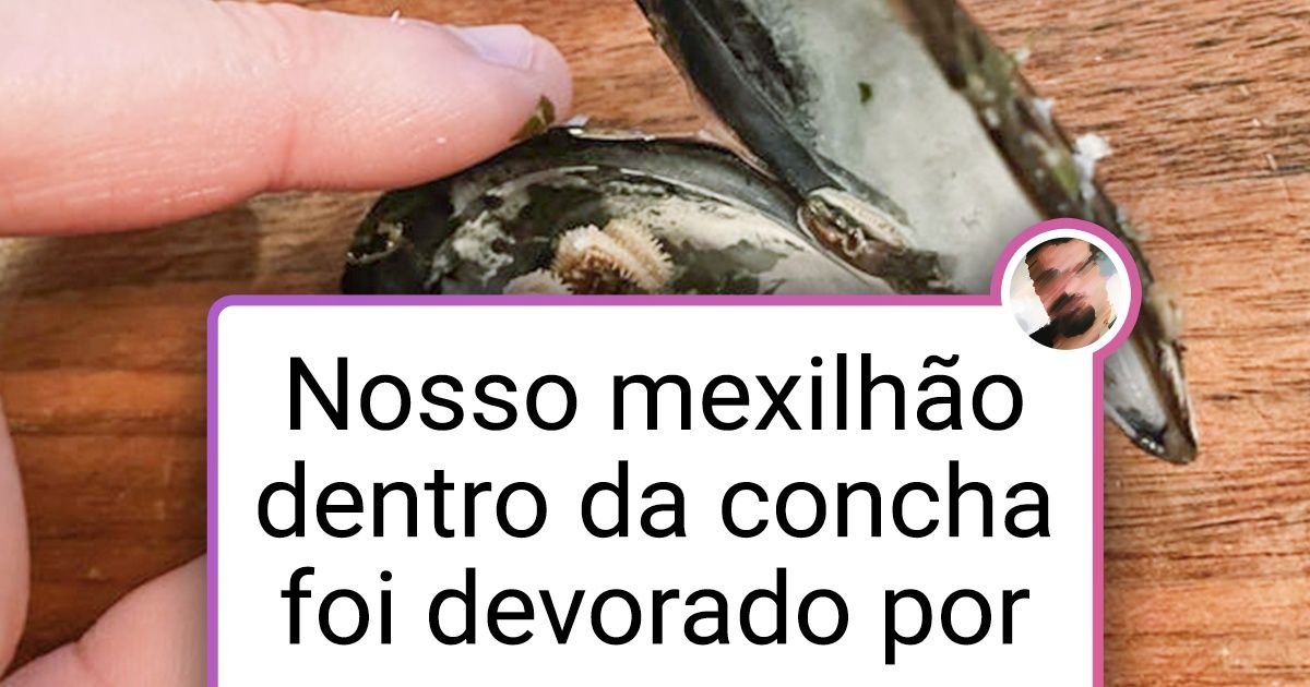 15 Internautas que poderiam gravar seu próprio programa “O mundo animal”