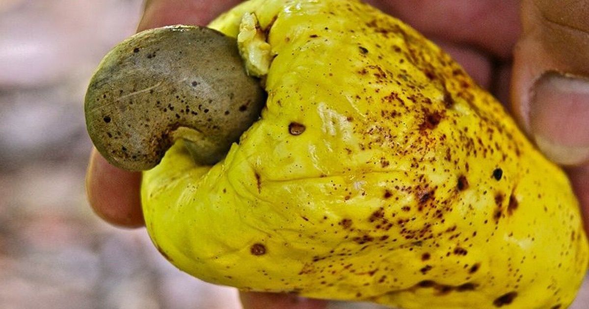 Você sabe de onde vêm alguns alimentos populares?