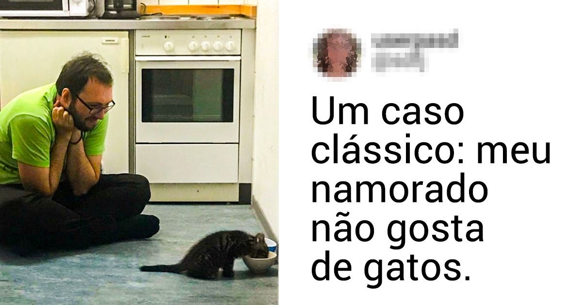 20+ Fotos com as quais quase todo dono de pet se identifica