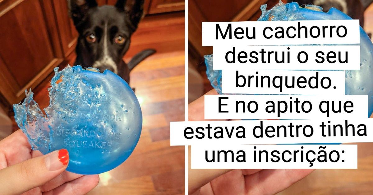 17 Fotos de situações cuja ironia é sentida até através da tela