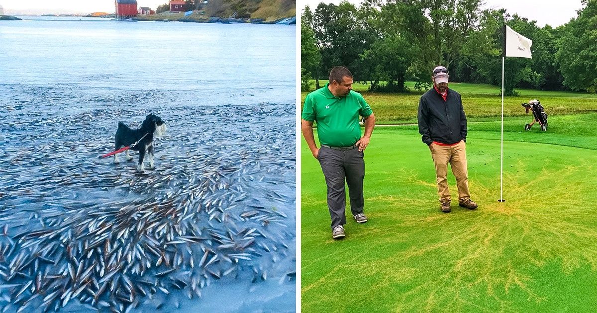 22 Fotos que mostram que a Terra é um lugar único e encantador 22 Fotos que mostram que a Terra é um lugar único e encantador