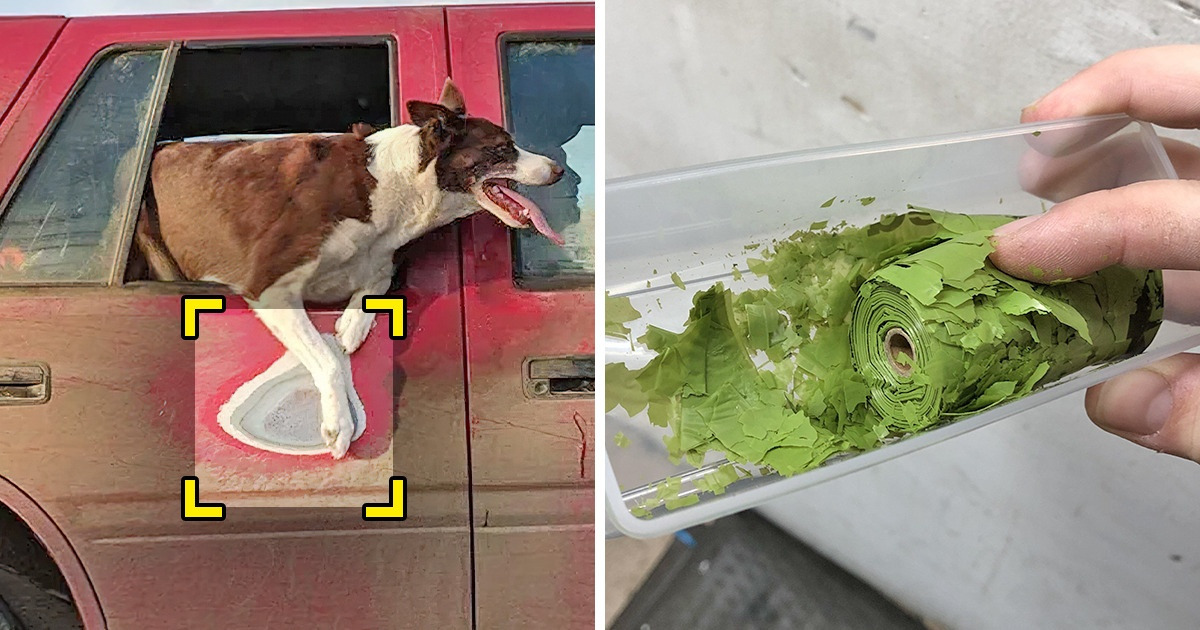 20 Fotos mostram o que o passar do tempo faz com os objetos