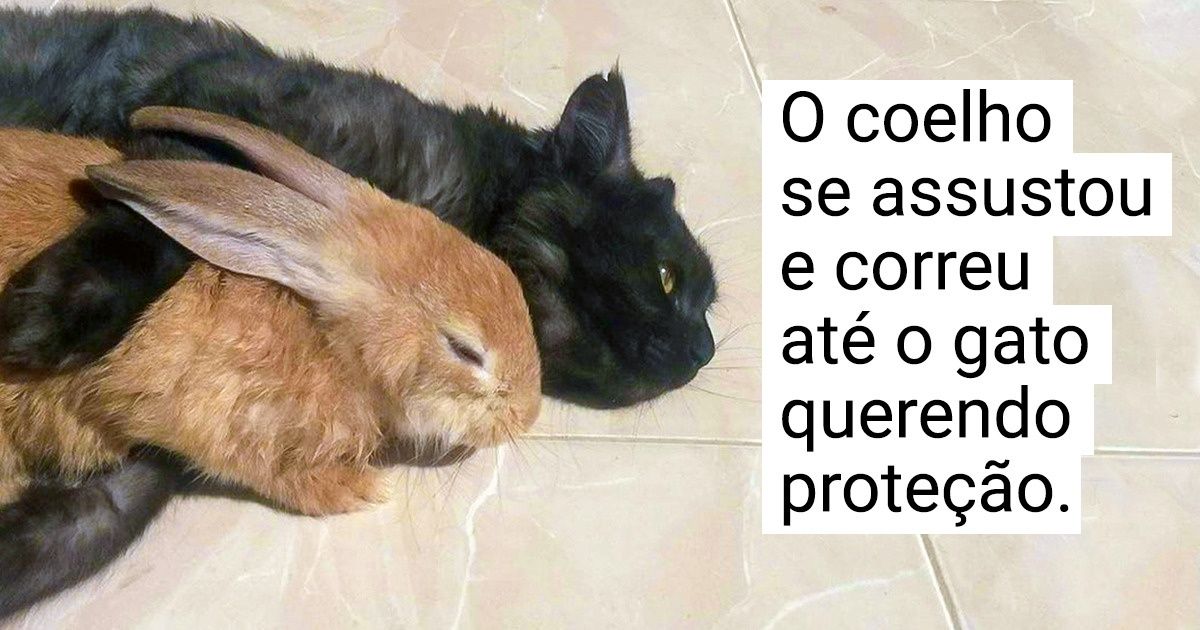 20 Fotos mostram que é o amor incondicional, e não apenas os laços sanguíneos, que define quem é sua família