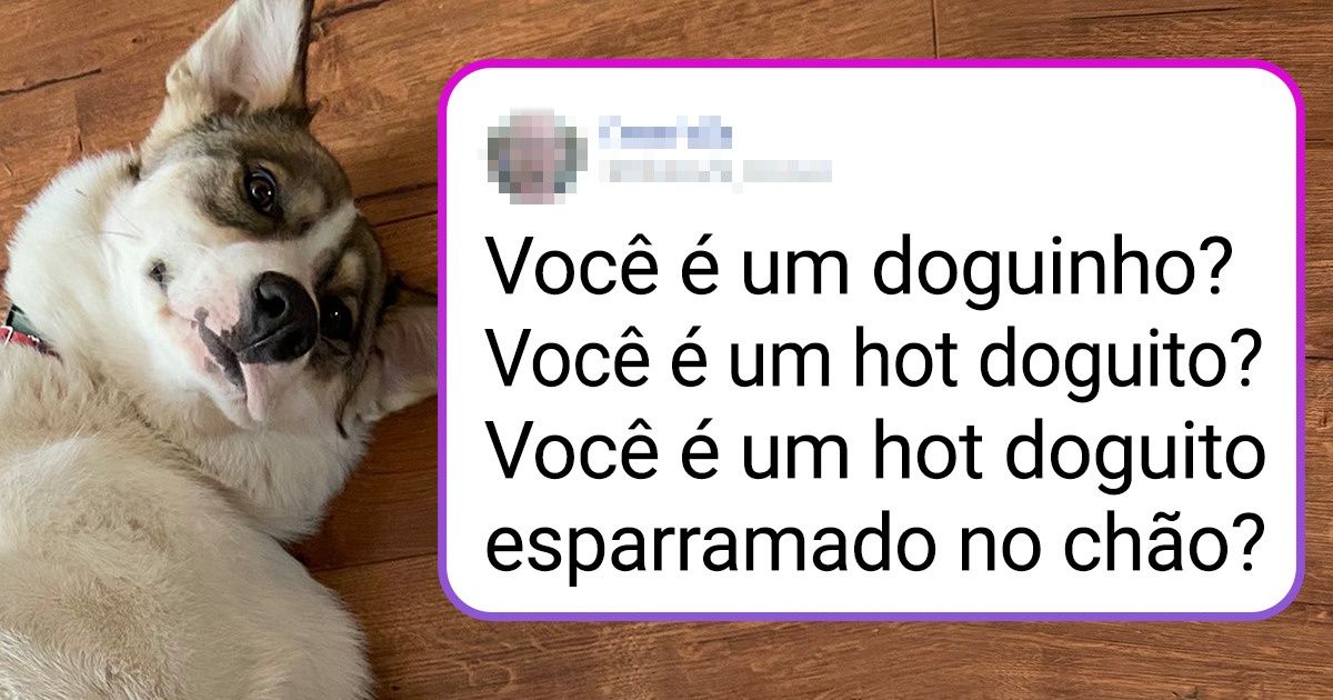 15+ Pessoas confessaram como chamam seus amiguinhos peludos quando ninguém está vendo