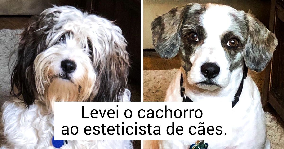 18 Fotos de “antes” e “depois” que mostram transformações incríveis 18 Fotos de “antes” e “depois” que mostram transformações incríveis