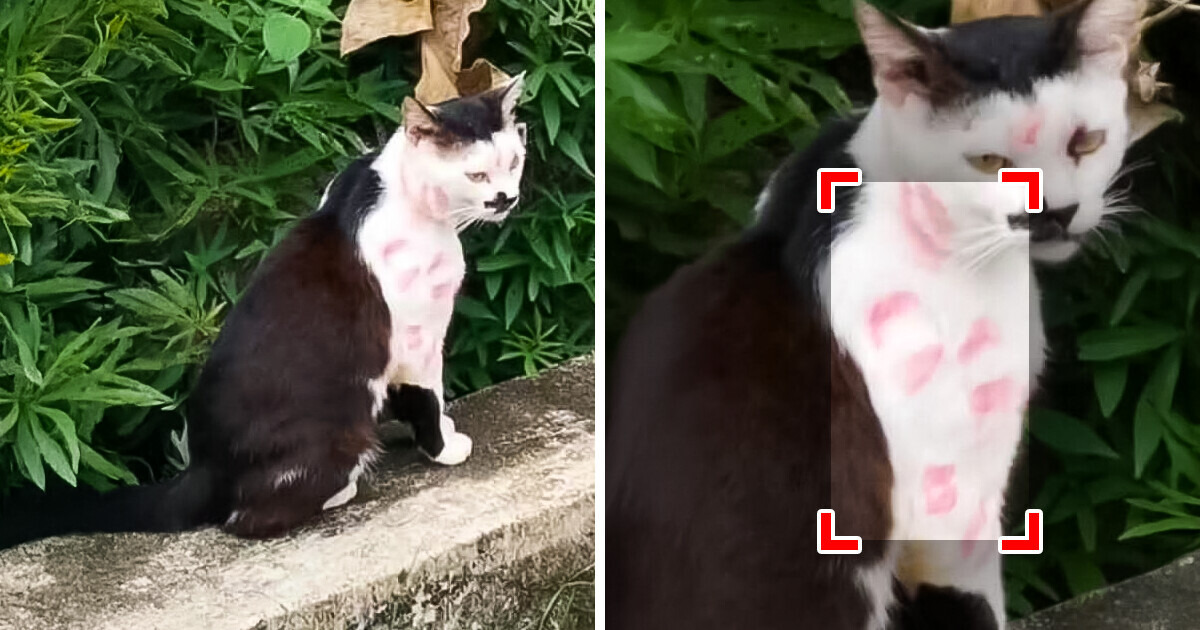 15 Imagens que enganam mais que foto de perfil e desafiam sua visão