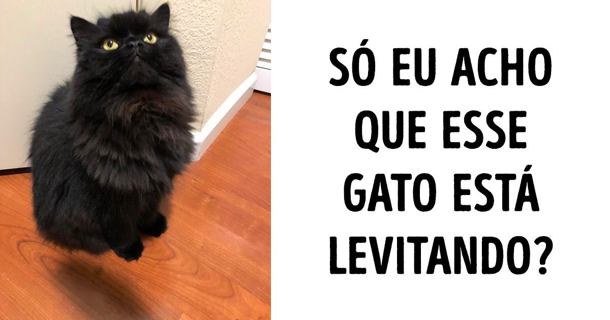 20 Fotos de pessoas que enxergam tudo de uma maneira diferente
