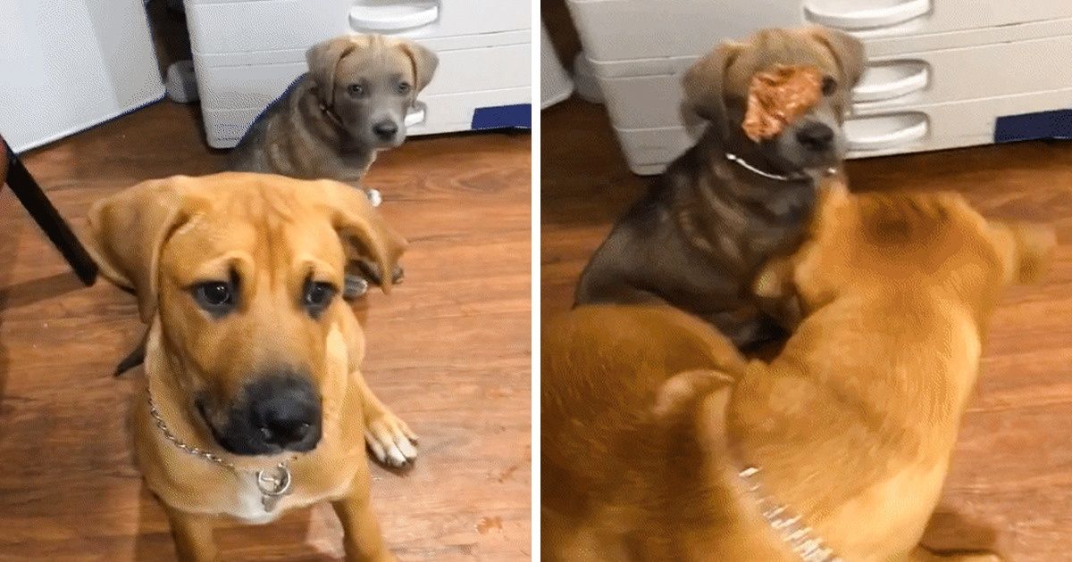 18 Fotos que mostram que às vezes as coisas podem dar muito errado 18 Fotos que mostram que às vezes as coisas podem dar muito errado