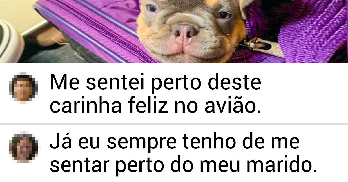 19 Fotos inusitadas de passageiros aéreos nada comuns (e um deles ainda é funcionário da companhia) 19 Fotos inusitadas de passageiros aéreos nada comuns (e um deles ainda é funcionário da companhia)