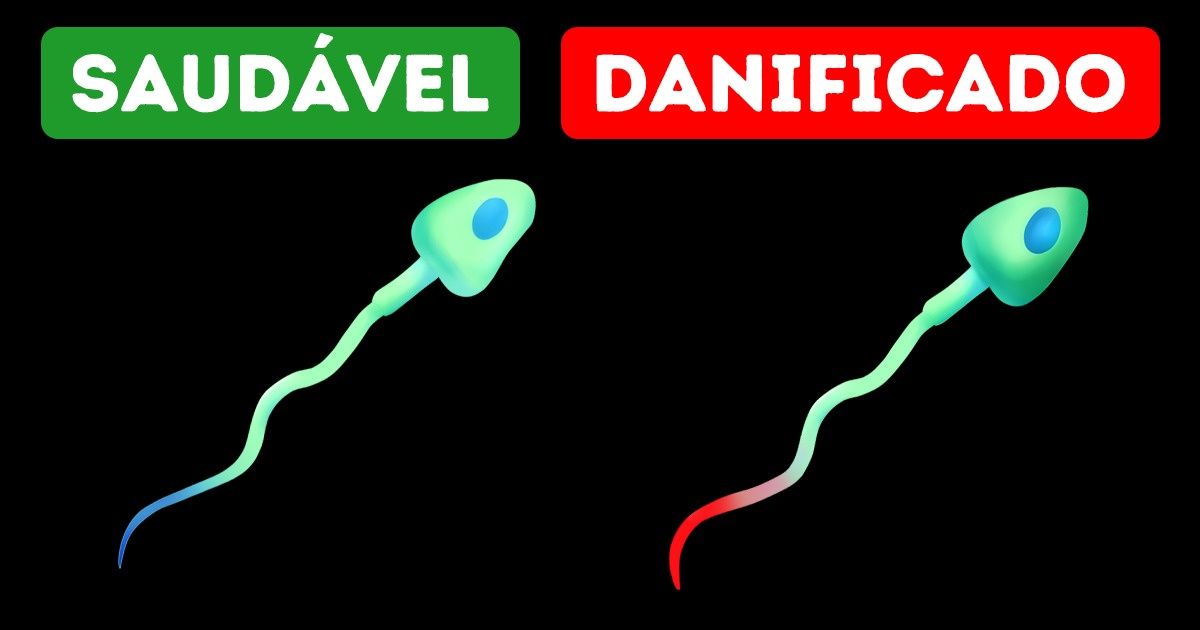 Um estudo revelou que os aparelhos Wi-Fi afetam a fertilidade masculina