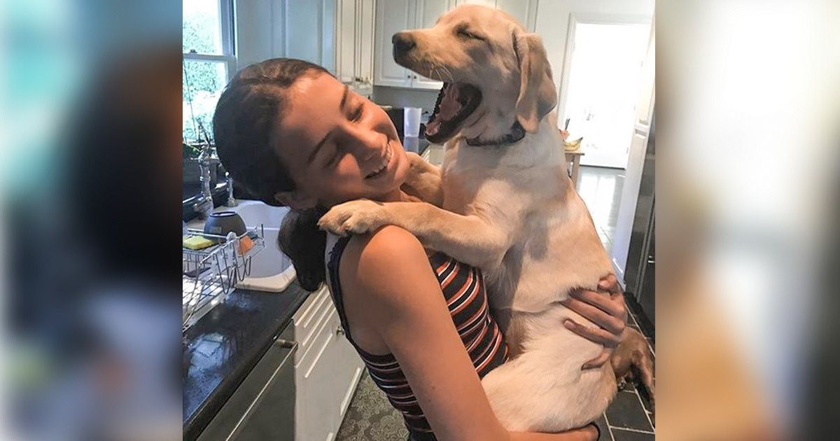 Se você ama seu cachorro como seu próprio bebê, a ciência explica Se você ama seu cachorro como seu próprio bebê, a ciência explica