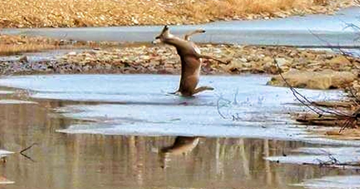 Se você costuma reclamar do calor, veja como vivem pessoas em lugares gelados