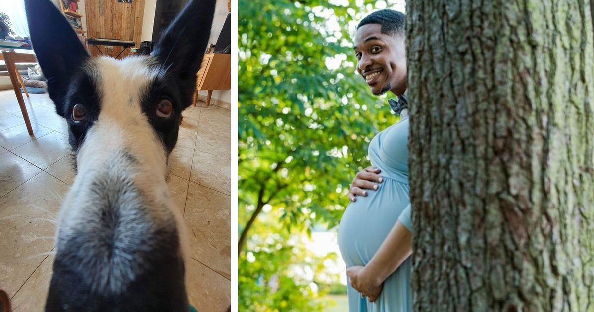 20+ Fotos que são charadas visuais perfeitas para confundir seu cérebro