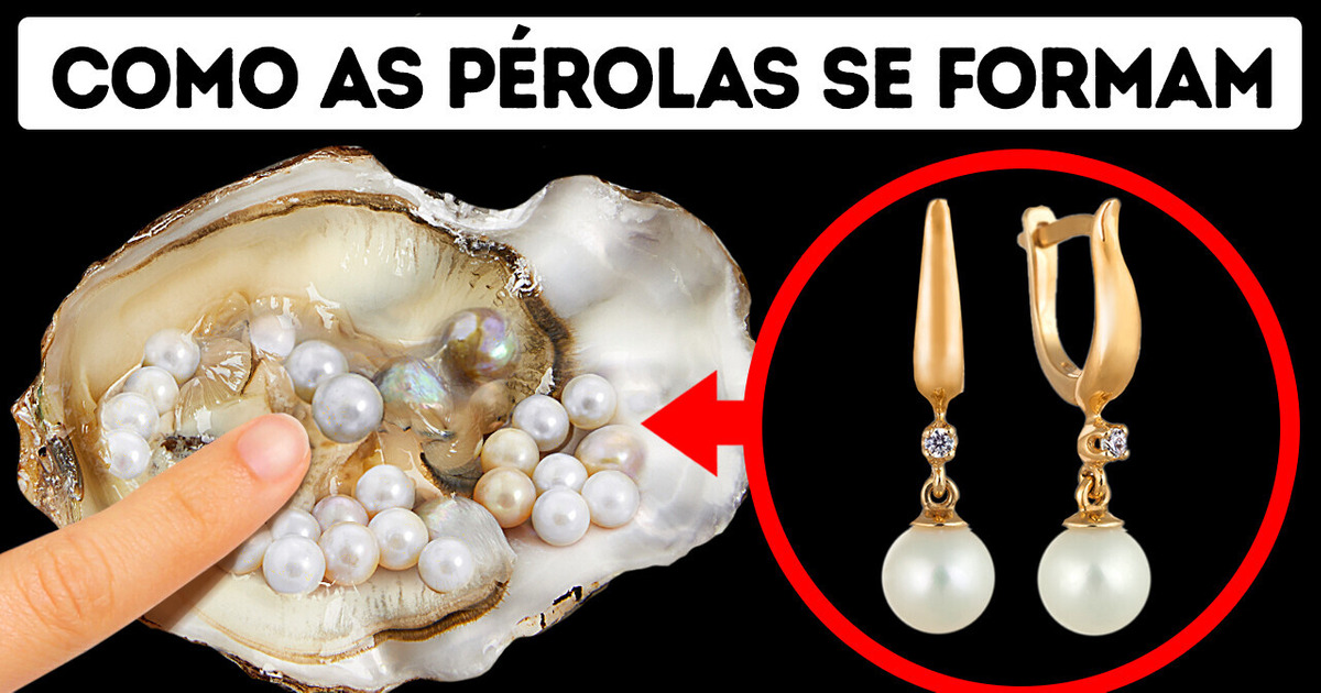 Como e por que as ostras fazem pérolas? Como e por que as ostras fazem pérolas?
