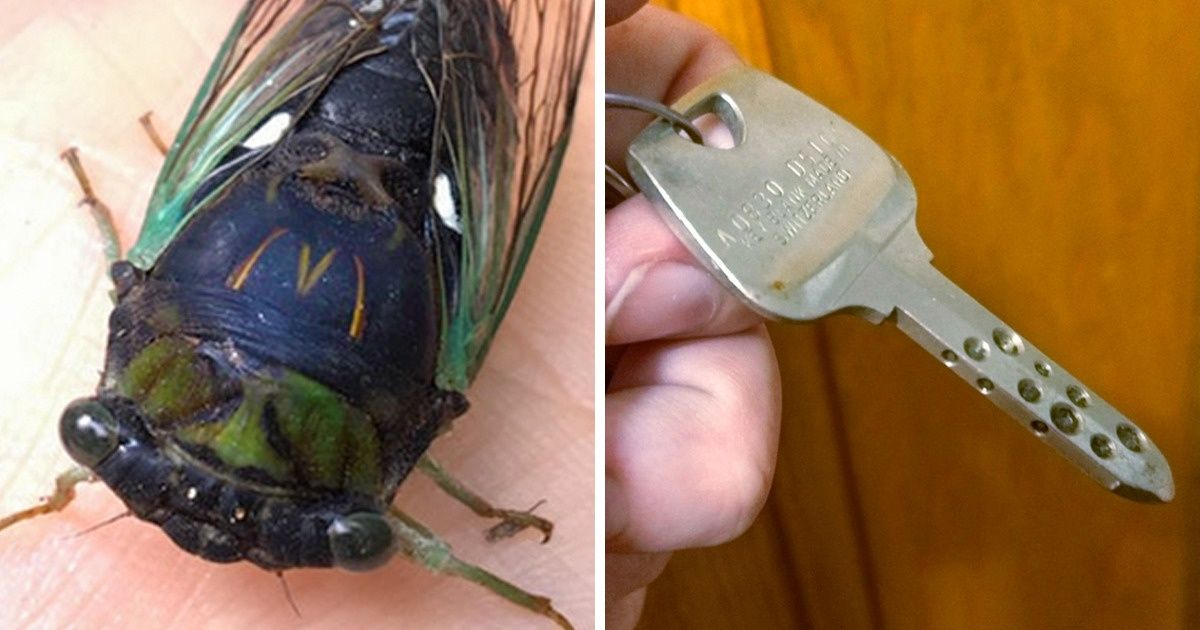 25 Pessoas que encontraram coisas incompreensíveis