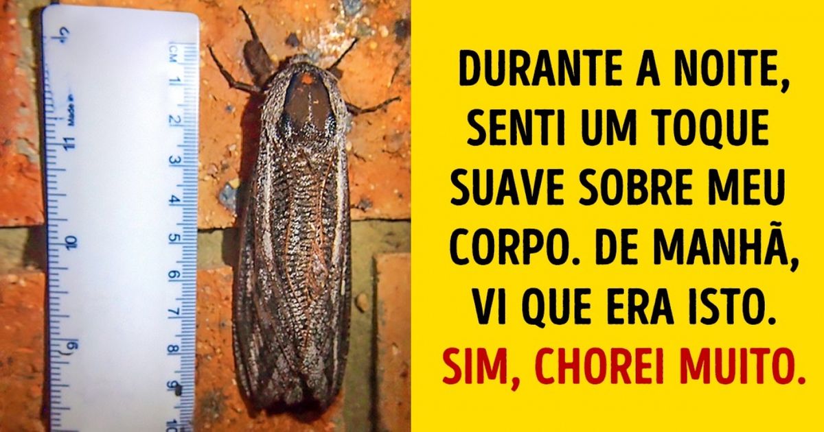 Motivos para amar a Austrália bem de longe
