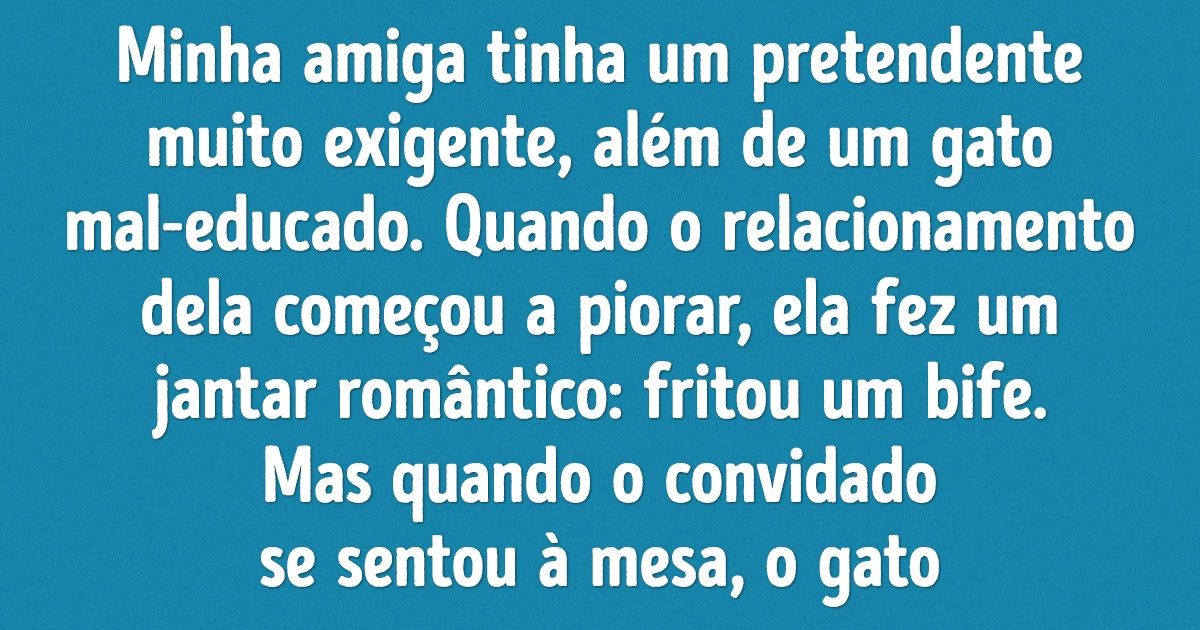20+ Situações absurdas que só acontecem com donos de gatos 20+ Situações absurdas que só acontecem com donos de gatos