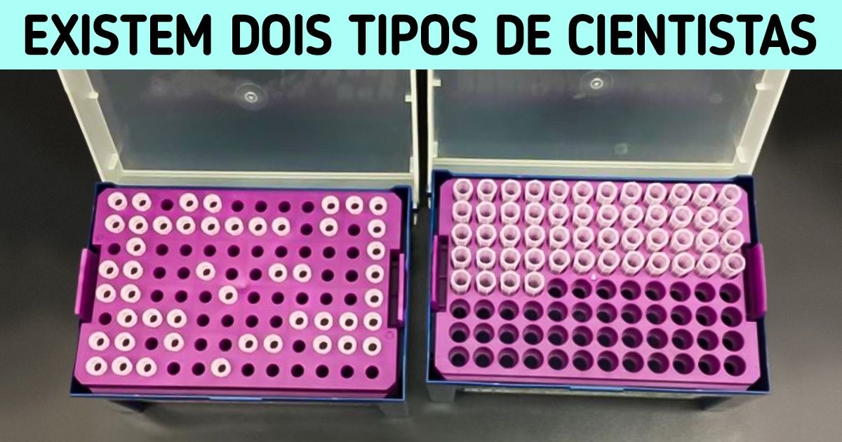 15 Fotos para provar que existem dois tipos de pessoas
