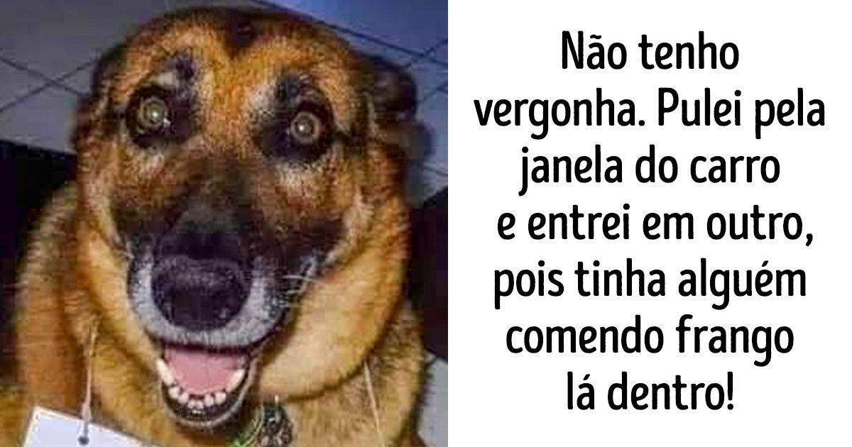 22 Pets para os quais o padrão “bom moço” já saiu de moda