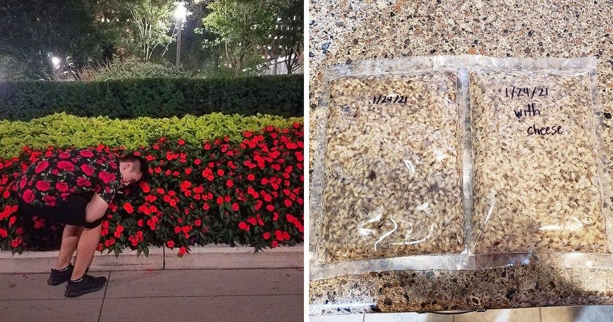 18 Fotos que ficaram incríveis por obra da mais pura coincidência