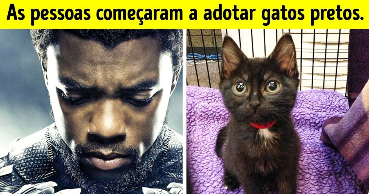 14 Filmes que mudaram algo no mundo para sempre 14 Filmes que mudaram algo no mundo para sempre