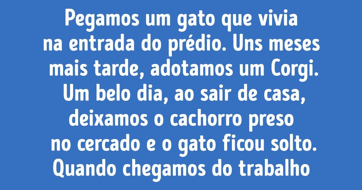 20+ Vezes que cães e gatos ignoraram os preconceitos e se tornaram melhores amigos 20+ Vezes que cães e gatos ignoraram os preconceitos e se tornaram melhores amigos