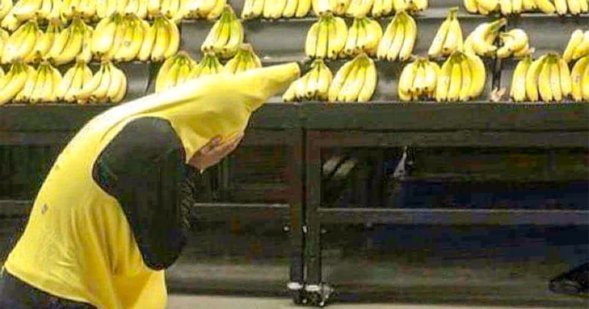 20 Fotos absurdas que simplesmente não têm explicação