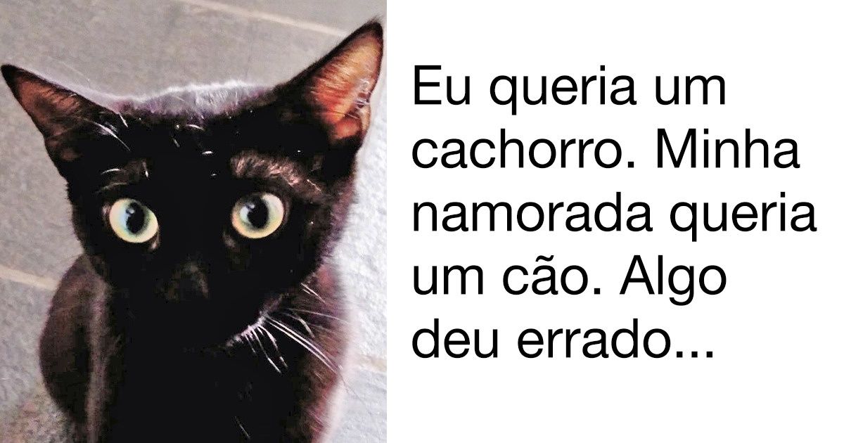 Provas de que, na vida, nem tudo acaba como o planejado