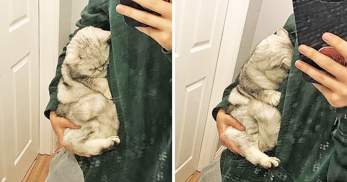 26 Fotos que funcionam melhor do que qualquer antidepressivo