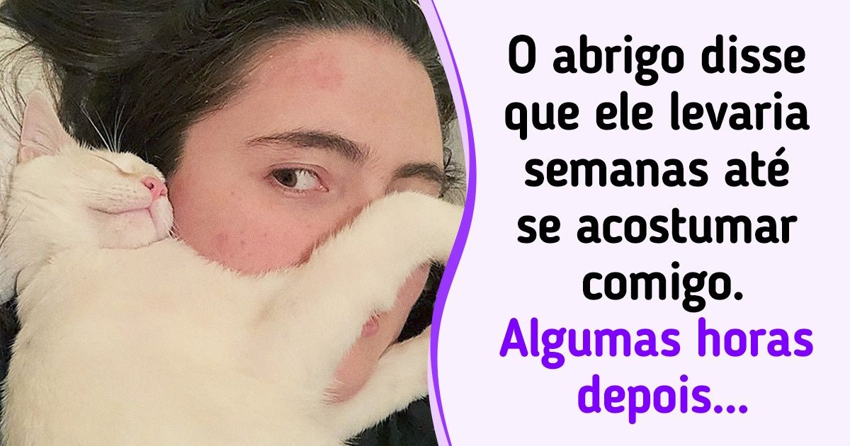 23 Pets que dariam o mundo aos seus donos se pudessem 23 Pets que dariam o mundo aos seus donos se pudessem