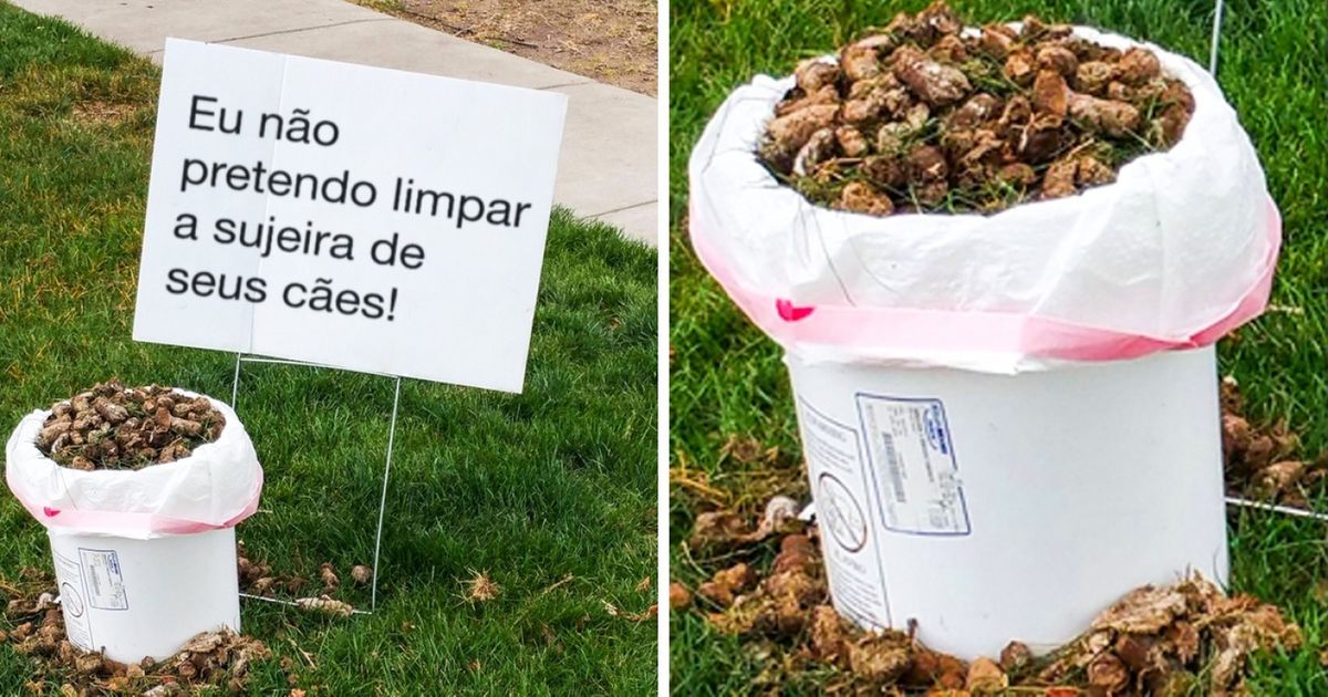 20 Fotos de gente que quer evitar a fadiga