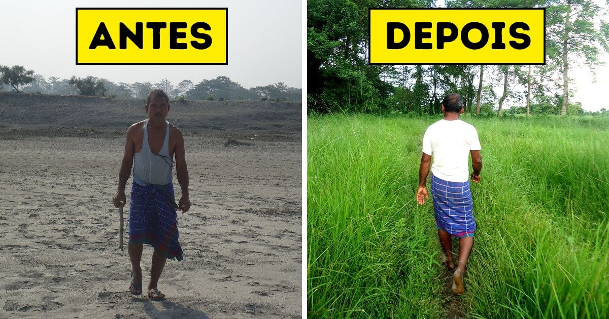 Indiano transforma deserto em uma selva gigante em 40 anos Indiano transforma deserto em uma selva gigante em 40 anos