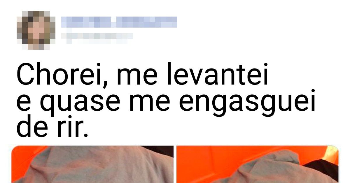 18 Casos em que o nível de autoironia superou todos os limites