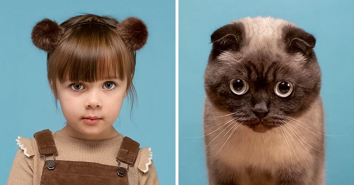 Um fotógrafo compara fotografias dos pets com as dos seus donos e os resultados são bons demais para serem ignorados (nova seleção)