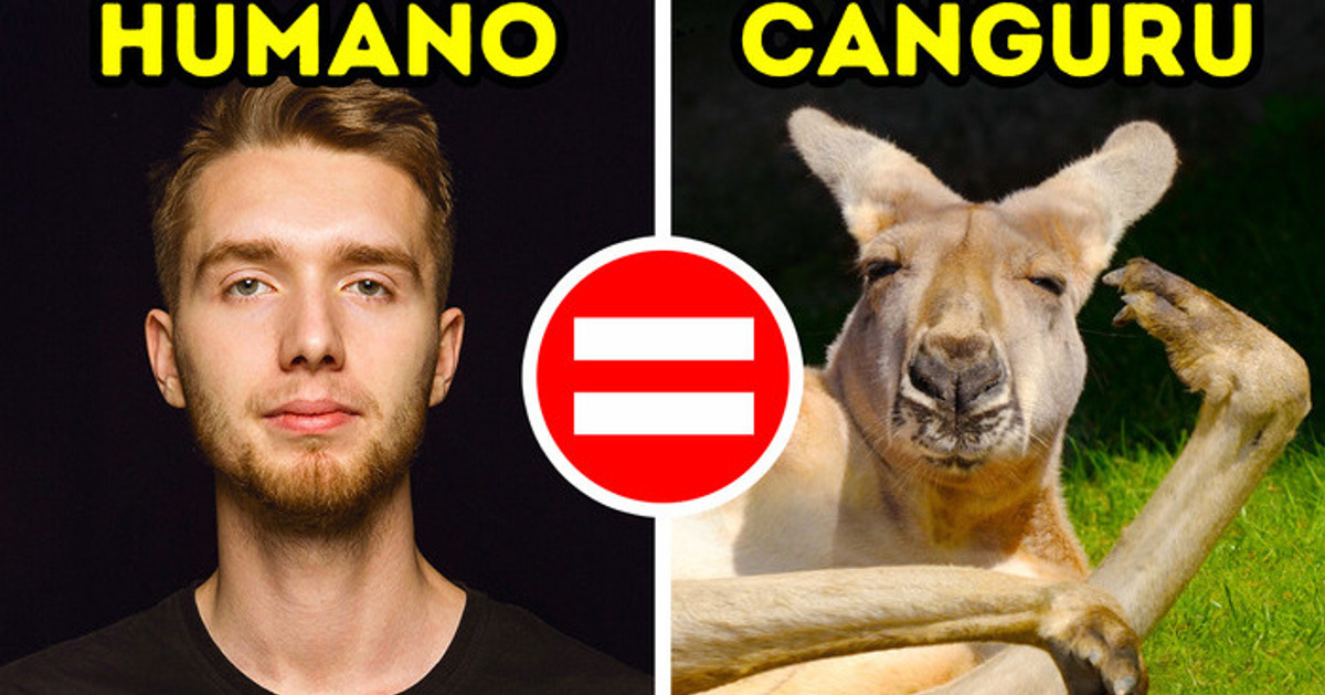 Os animais com os quais temos parentesco não são os que você imagina Os animais com os quais temos parentesco não são os que você imagina