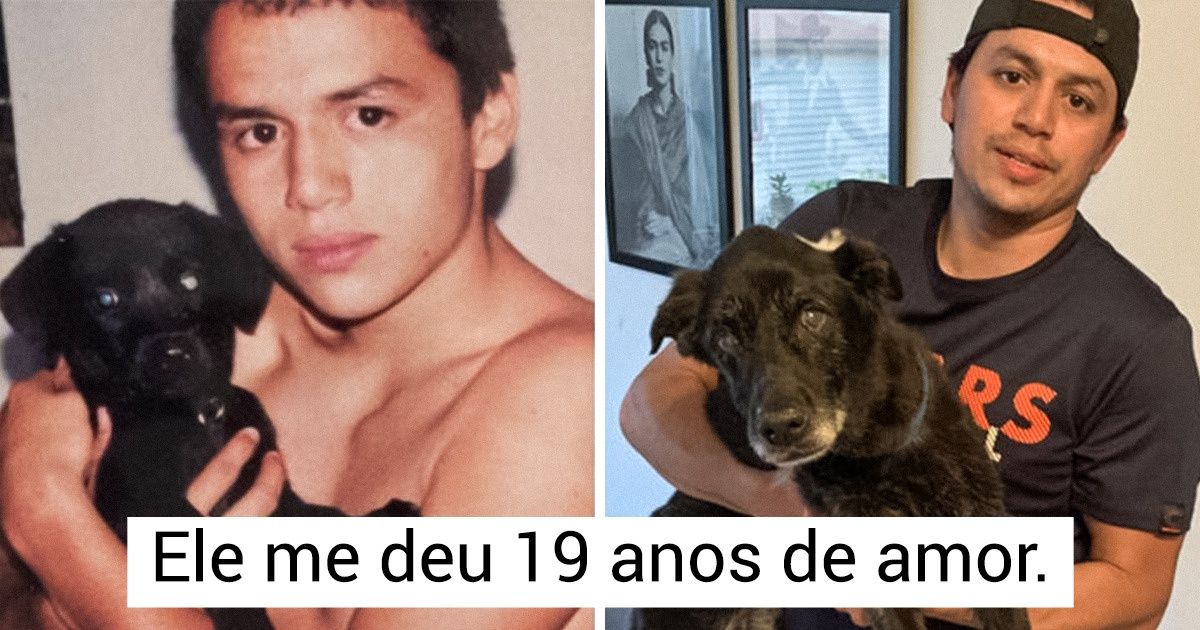15+ Fotos de animais de estimação velhinhos que mostram como o amor se fortalece com o tempo