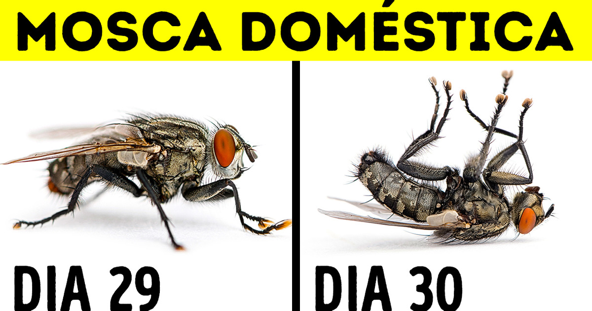 18 Fatos raramente compartilhados que farão você pensar novamente 18 Fatos raramente compartilhados que farão você pensar novamente