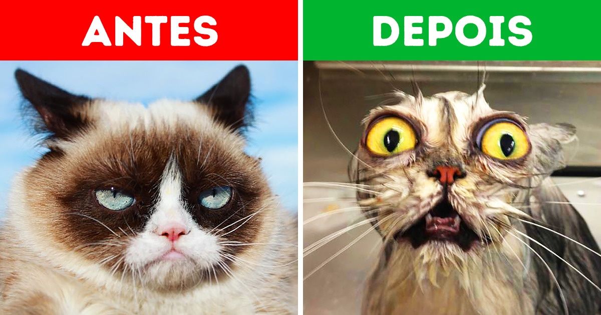 Uma rotina para acordar que é super eficiente e melhor que café Uma rotina para acordar que é super eficiente e melhor que café