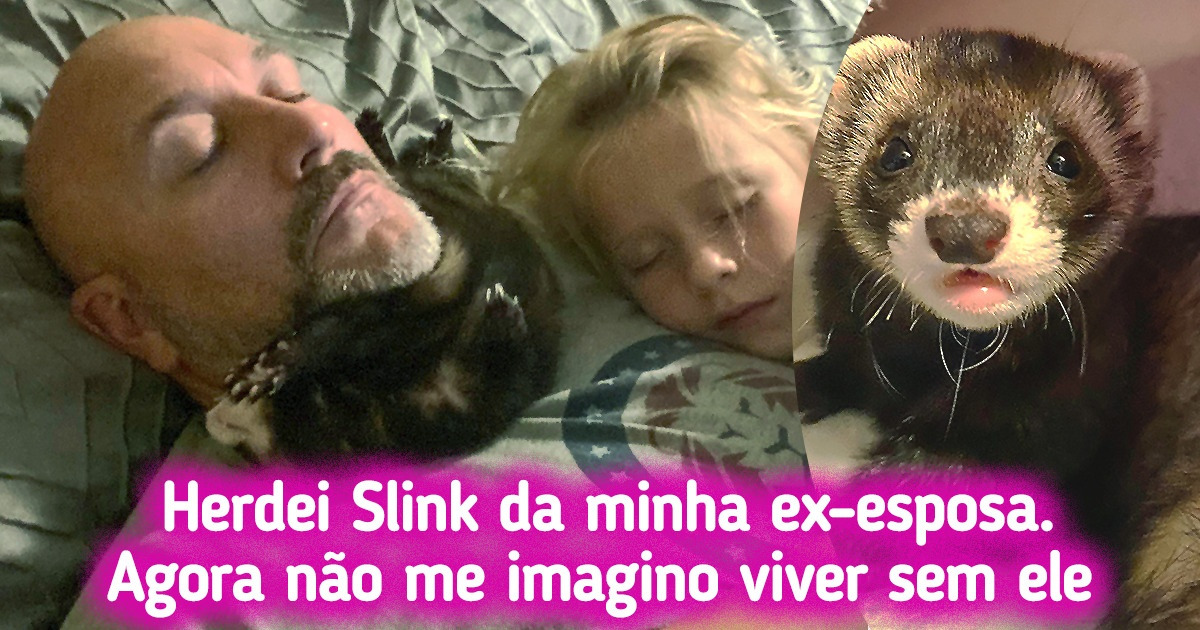 22 Mascotes que conseguiram conquistar até aqueles que juravam não querer animais