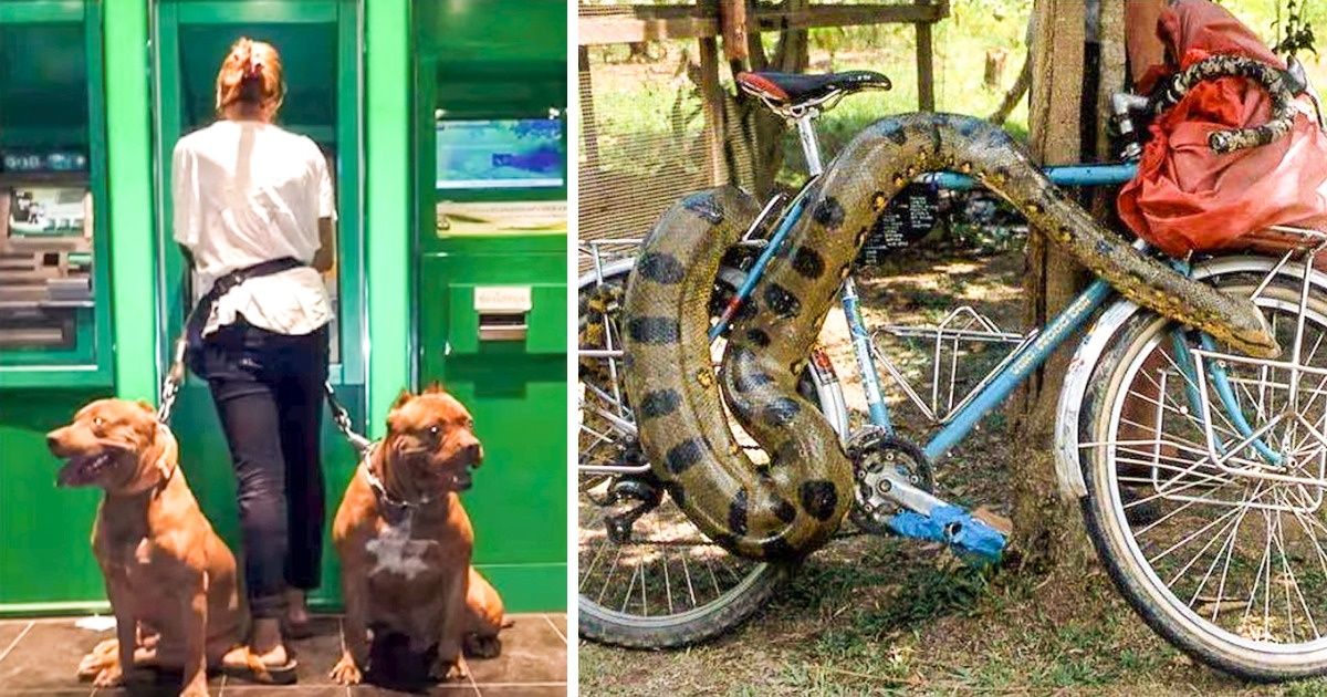 20 Divertidos dispositivos anti-roubo e anti-furto que você não encontra nas lojas