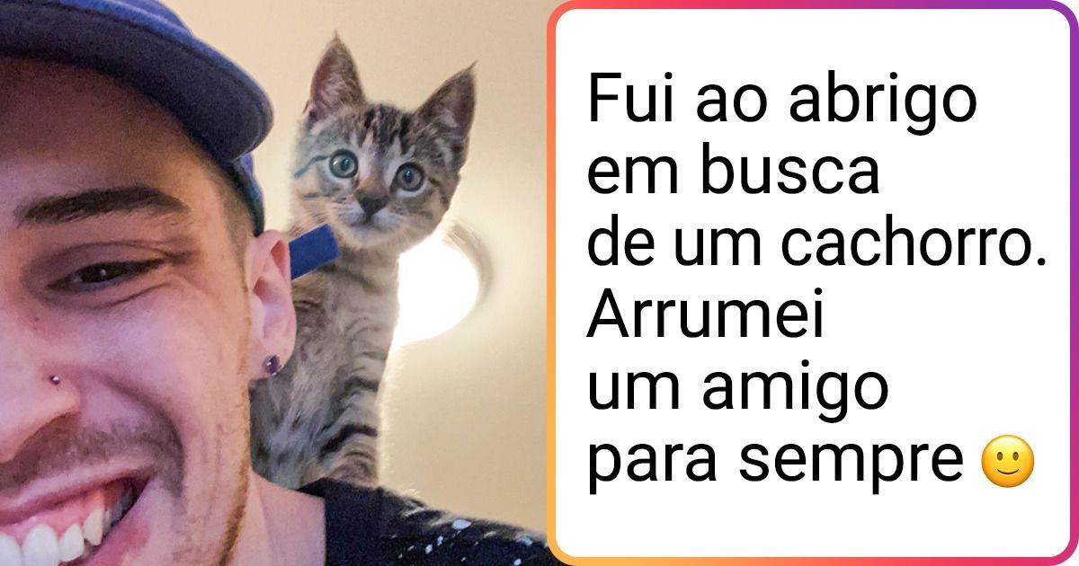 18 Pessoas que se apaixonaram por animais que estavam em abrigos e os levaram para casa