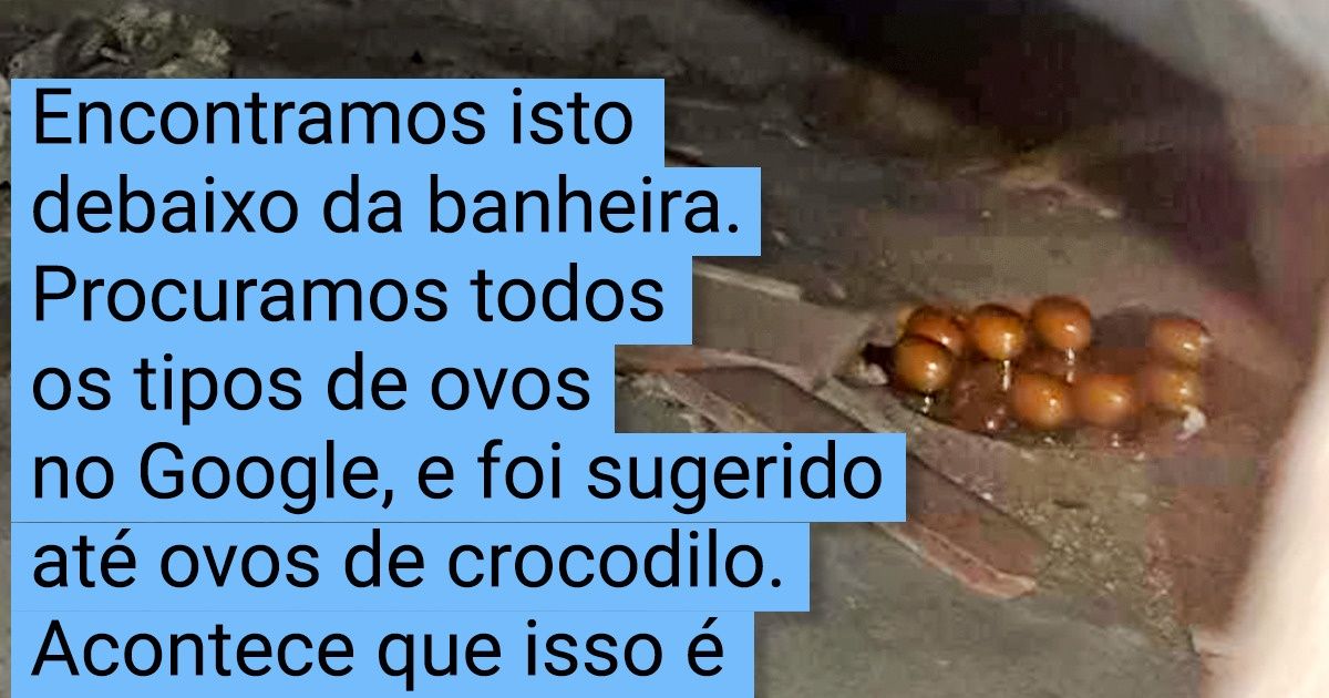 15+ Internautas compartilharam suas mais novas descobertas com a internet