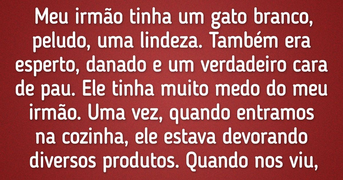 20+ Pessoas contam as coisas mais incomuns que seus gatinhos já fizeram