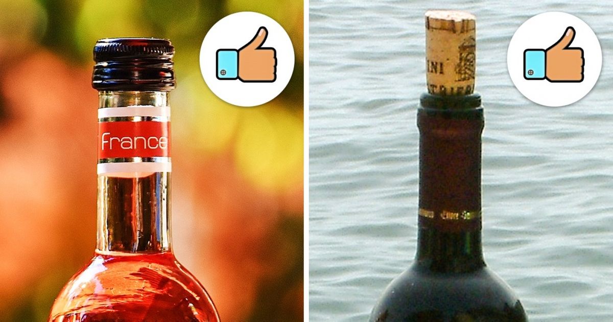 8 Mitos sobre vinho em que você não deve acreditar 8 Mitos sobre vinho em que você não deve acreditar