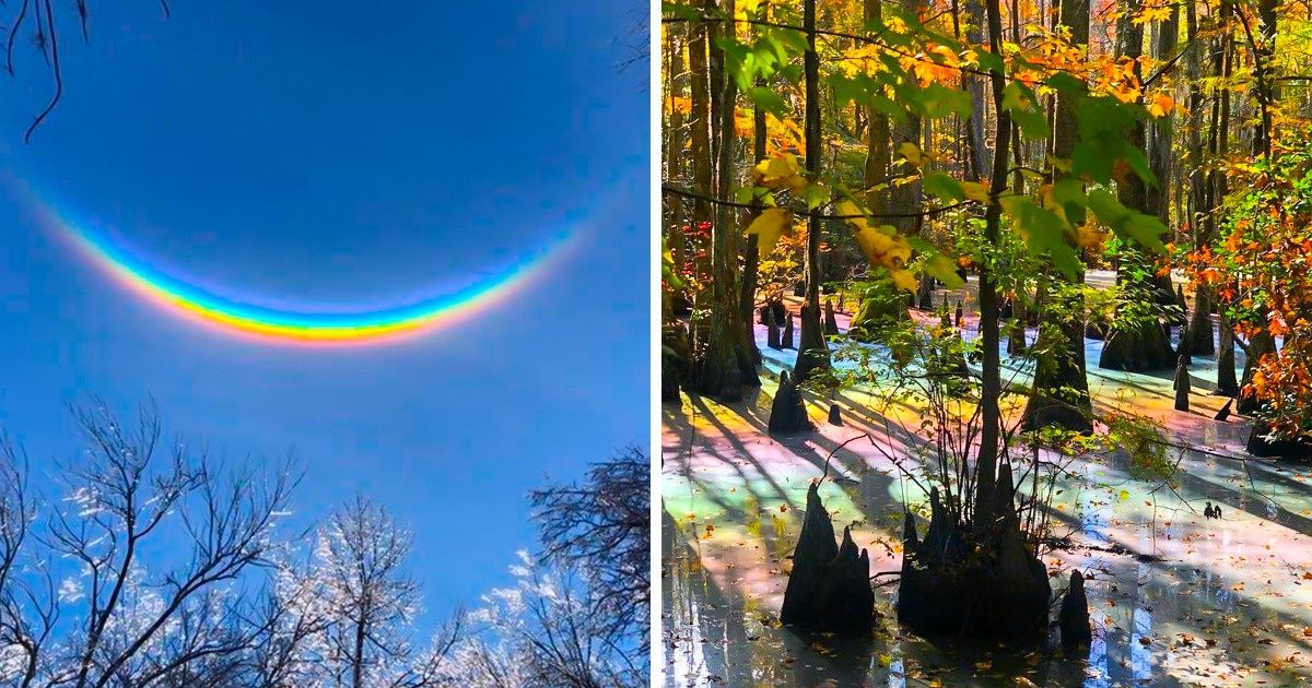 20 Pessoas que presenciaram fenômenos naturais e se sentiram dentro de um conto de fadas 20 Pessoas que presenciaram fenômenos naturais e se sentiram dentro de um conto de fadas