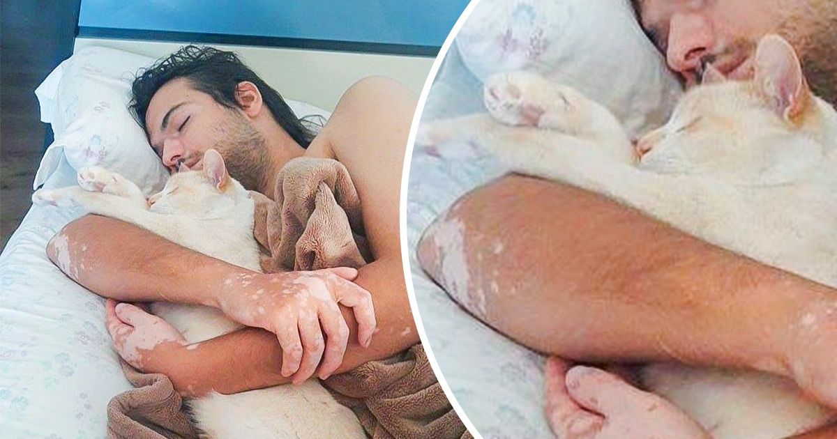 25 Animais que não conseguem viver sem seus donos e tampouco os deixam viver sem eles