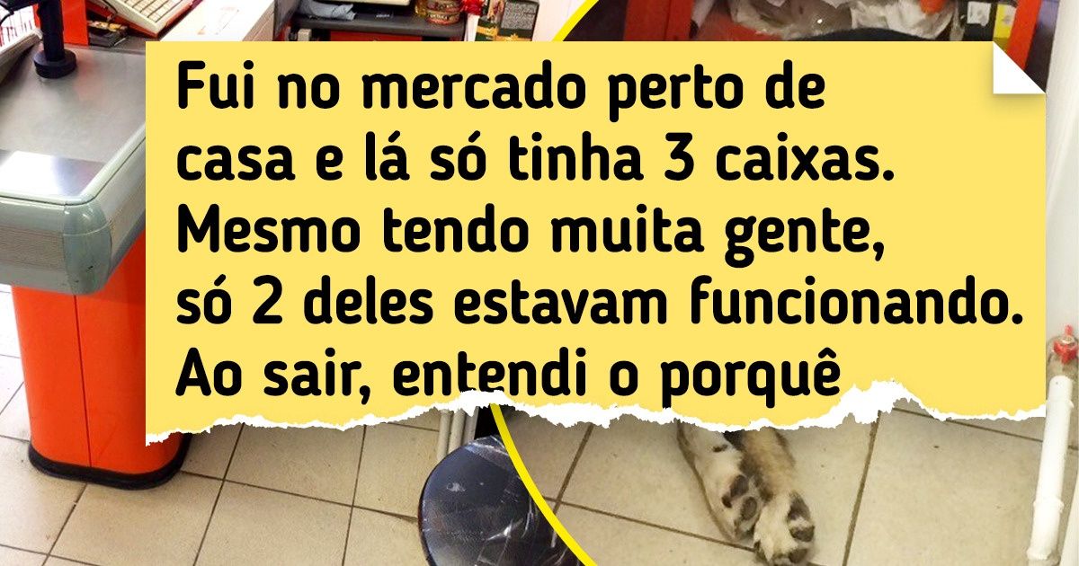 17 Internautas registraram em fotos as belezas, dificuldades e emoções do dia a dia