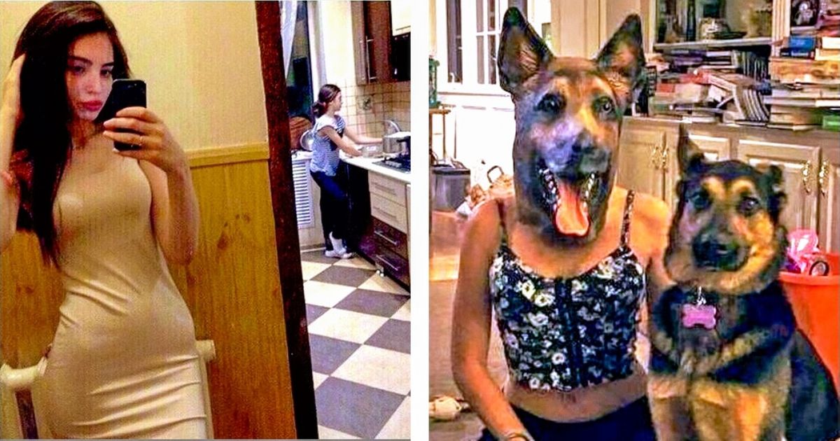 9 Imagens descontraídas que podem alegrar o seu dia 9 Imagens descontraídas que podem alegrar o seu dia