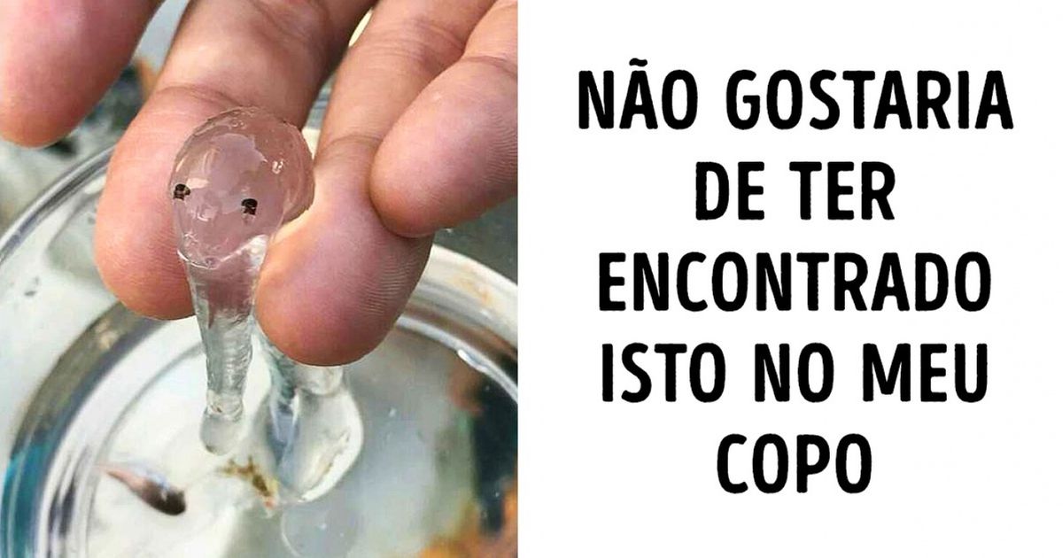 15 Criações da natureza que parecem ter sido preparadas para viver em outro planeta