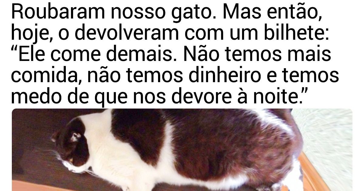 20 Animais de estimação que são verdadeiros mestres na arte da traquinagem 20 Animais de estimação que são verdadeiros mestres na arte da traquinagem